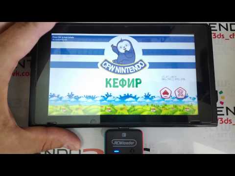 Video: Nintendo Seko Modchips