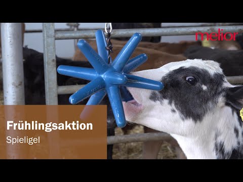 Spieligel zur Beschäftigung