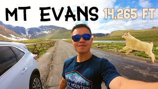 MOUNT EVANS SCENIC BYWAY Colorado | HOW TO Drive America's HIGHEST Road | 14,000 FEET!