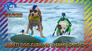 World Dog Surfing Championships 2022