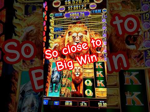 Pin up casino bonus