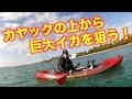 ♯7釣りよか沖縄釣り旅行！沖縄の冬の海でカヤック釣りに挑戦！