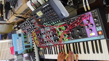 matriarch patch journal (feat. digitakt & subharmonicon)