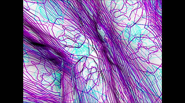 Test Resolume Arena+Quartz Composer+BCR2000