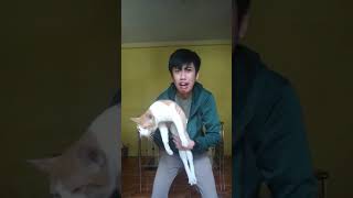 Trend Eggplant Emoji Tiktok