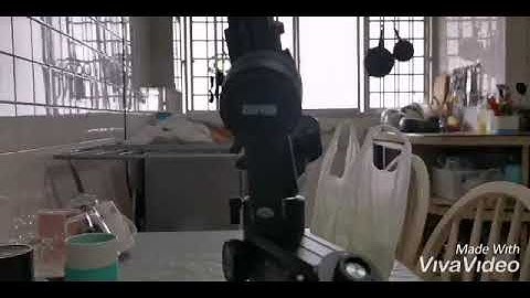 how to connect weebill s to ZY paly app and set wellbill s to zz mode for updating