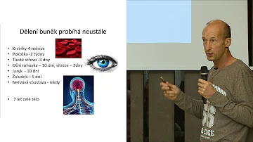 Kdy je glykogen uložen v těle?