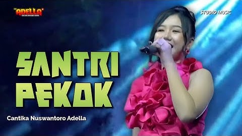 SANTRI PEKOK - Cantika Nuswantoro Adella | OM ADELLA LIVE TEGAL [PERANTARA COMMUNITY]