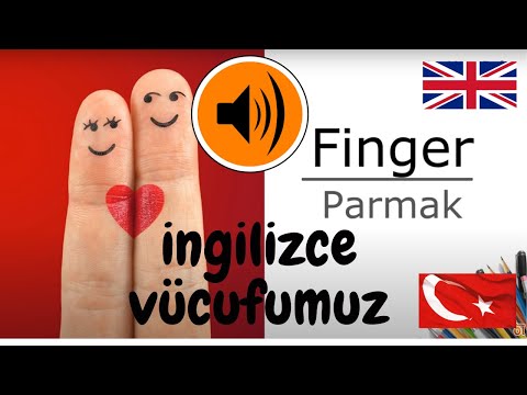 İngilizce Vücudumuzun Bölümleri (Parts of Our The Body in Turkish)