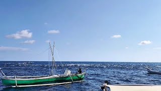 Berburu ikan cakalang bersama teman-teman nelayan menggunakan jaring