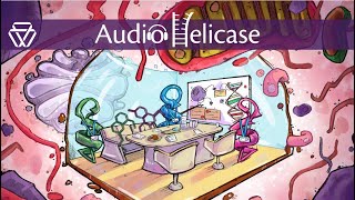 How foundational research takes medicines from lab to shelf | AudioHelicase