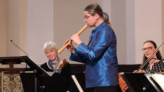 Jacob van Eyck: Comagain (Dowland "Come again"), Hanneke van Proosdij, recorder 8K