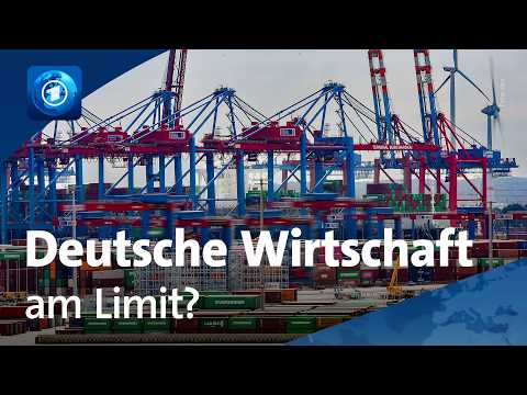 ifo-Index: Darum ist die deutsche Wirtschaft so verunsichert

Die Folgen des Iran-Kriegs haben die Stimmung in den Chefetagen deutscher Firmen unerwartet stark eingetr&uuml;bt. Der ifo-Index ist angesichts der Energiepreis-Krise auf den tiefsten Stand seit der Corona-Pandemie gefallen.

#ifo #Index #Darum #ist #die