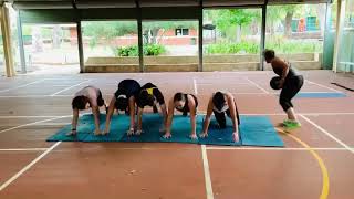 Plank passing ball