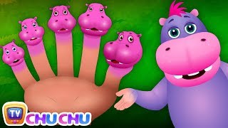 விரல் குடும்பம்   நீர்யானை (Finger Family Hippo)   ChuChu TV தமிழ் Tamil Rhymes For Children