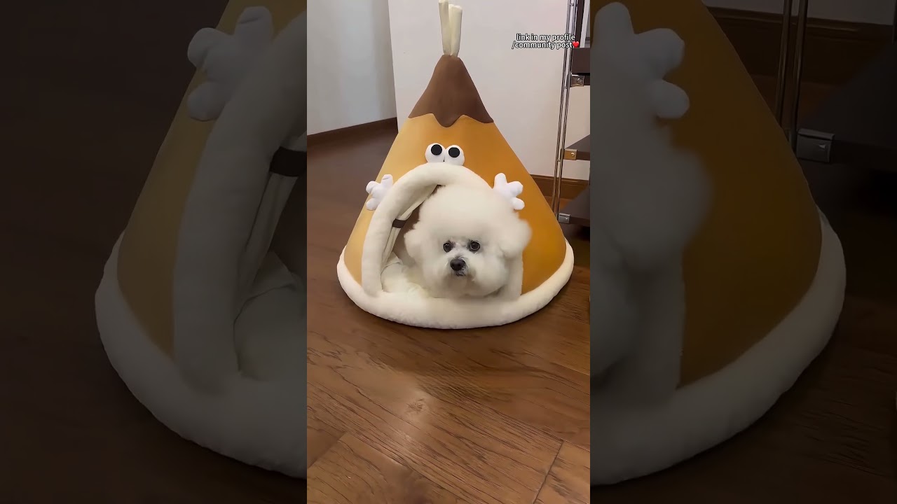 Autumn & Winter Cosy Thickened Tent Dog & Cat Kennel 🍁🐾