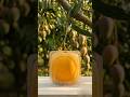 Square Shape Mango 🟨🥭 Crazy Fruit Growing Experiment #shorts