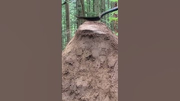 100+ Hours of Trail Building in 24 Seconds #trailbuilding #mtb
