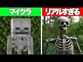 全てがリアルすぎるマインクラフト / リアルな水 / 溶岩 / スケルトン