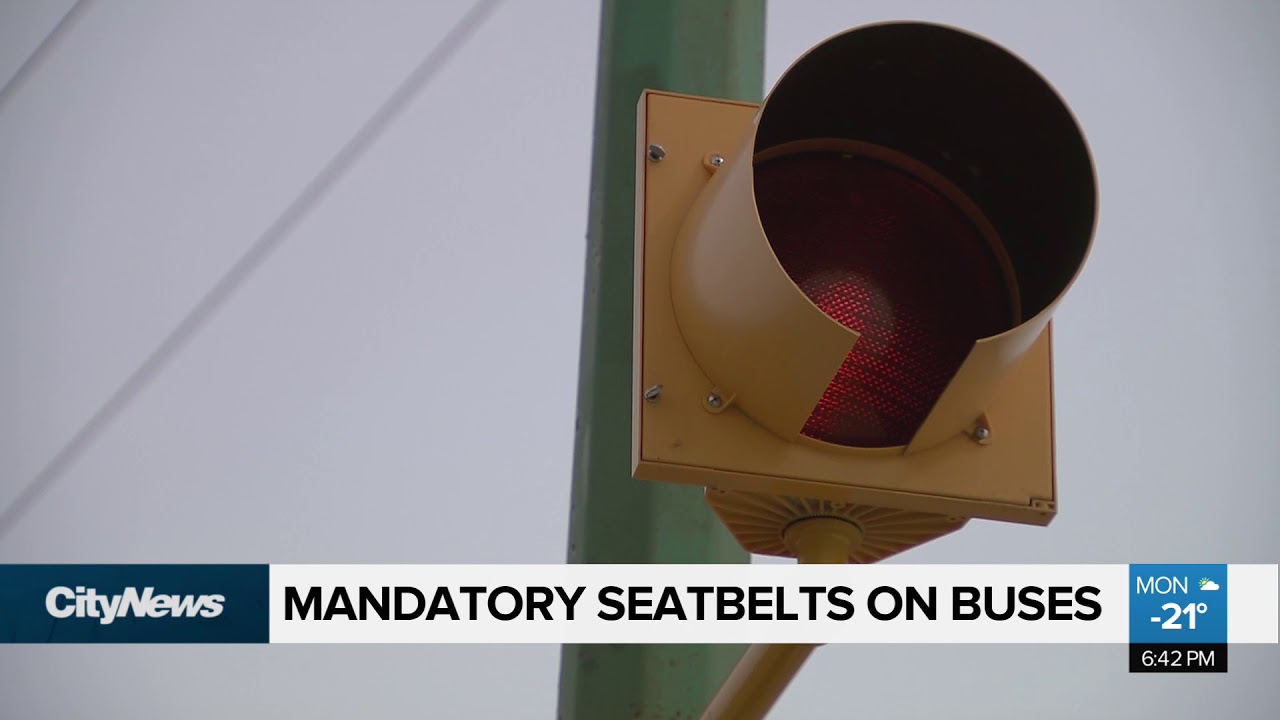 Mandatory seatbelts on buses YouTube