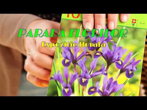 EXPOZIȚIA – TÂRG „PARADA FLORILOR”