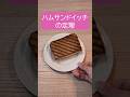 ハムサンドイッチの定理と選挙