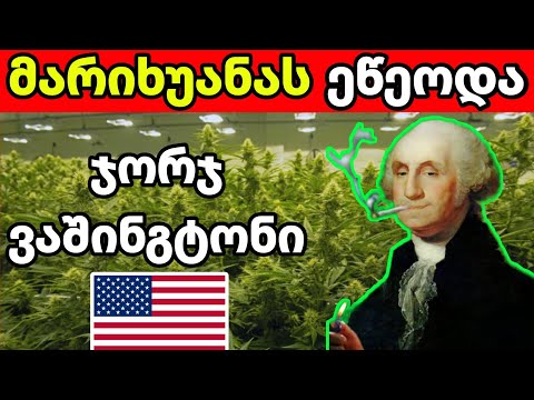 40 საინტერესო ფაქტი  (ნაწილი XII)