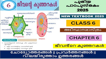 CLASS6 അടിസ്ഥാന ശാസ്ത്രം |BASIC SCIENCE|CHAPTER 6 ജീവൻ്റെ കുഞ്ഞറകൾ | TINY CHAMBERS OF LIFE | ANSWERS