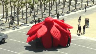 Choi Jeong Hwa's "Breathing Flower" Comes to Life in San Francisco