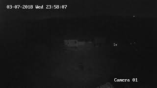 Dubki - Levadki. Camera #2 : 20180308