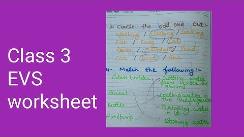 class 3 EVS worksheet/EVS worksheet for class 3/@englishworksheet