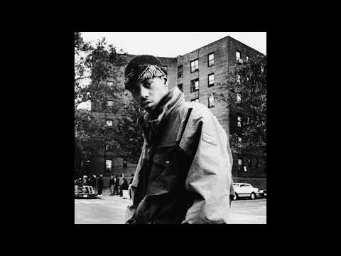 TUPAC x NAS