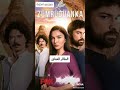 جميع مسلسلات الممثل التركي ألب نافروز
