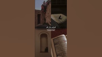 ﴿ الذّين أمنوا وتطمِئن قُلوبهم بذِكر الله﴾ سوره الرعد، عبدالرحمن مسعد #قرآن #ارح_قلبك #قران_كريم