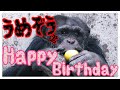 ウメちゃんハッピーバースデー🎂