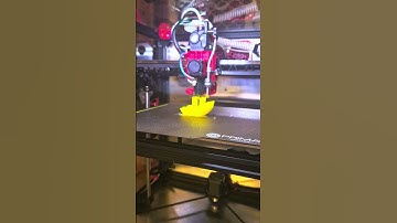 VzBot 235 First Benchy