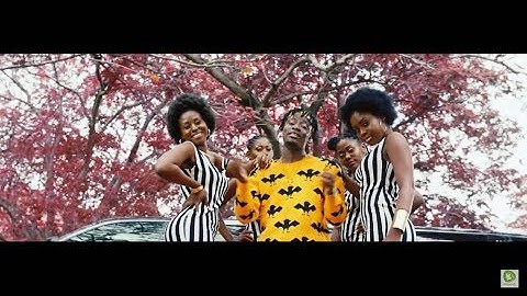 Fancy Gadam - YakaChana Ft Mr Eazi   ( Official Video)