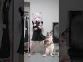 Cat dancing to EDMってやつ #真神ハティ #実写 #猫ミーム #meme #catmemes #memes #新人vtuber #vtuber