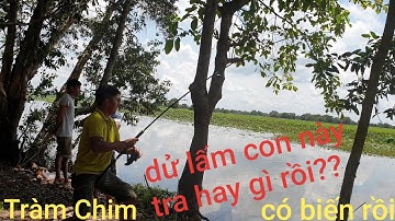 Có người mới là trúng mánh liền. Chuyến này hết cá Tràm Chim luôn | Săn bắt SÓC TRĂNG |