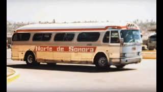 RECUERDO DEL TRANSPORTES NORTE DE SONORA TNS