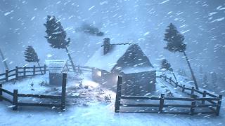 10,000 Snowflakes per Second | IMMERSIVE BLIZZARD SLEEP SOUNDS
