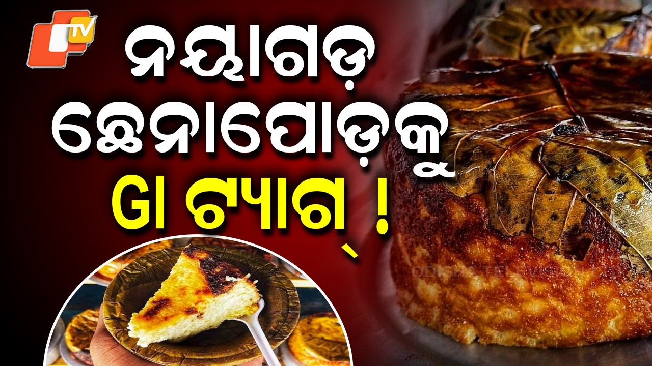 Nayagarh Chhena Poda Likely to Get GI Tag Recognition Soon