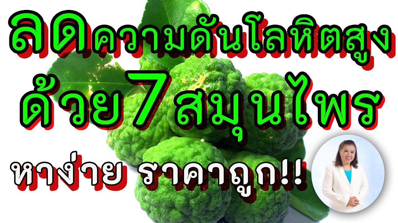 สมุนไพรลดความดันโลหิตสูง ดีที่สุด  2022  7สมุนไพรลดความดันโลหิตสูงในผู้สูงอายุ | 7 Herbs reduce High blood pressure | พี่ปลา Healthy Fish