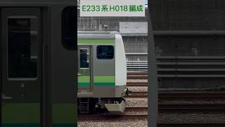 JR東日本 横浜線 E233系6000番台 H018編成 (海側・鉄道サイドビュー) 【JR EAST 2023.8 / TRAIN SCAN】