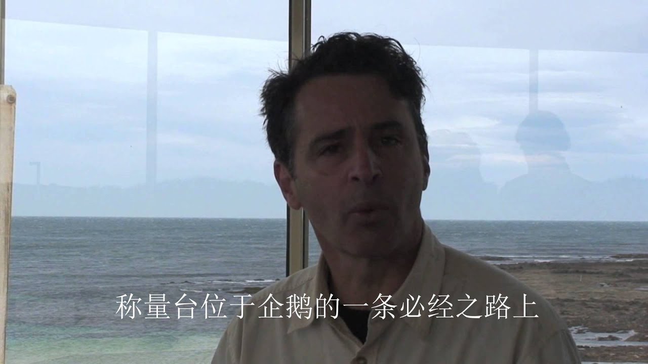 environmental science merit badge Weighbridge researcher annotated in Mandarin