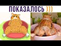 ПОКАЗАЛОСЬ?))) Приколы с котами | Мемозг 697