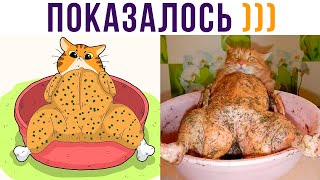 ПОКАЗАЛОСЬ?))) Приколы с котами | Мемозг 697