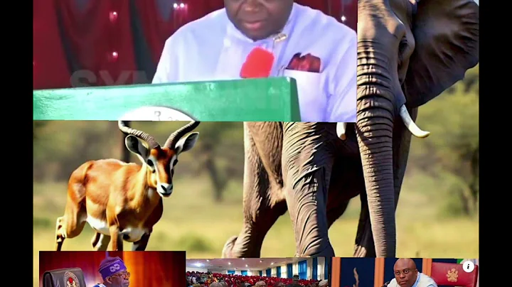 Bayelsa Governor Reacts To Fubara's Suspension, Asks Tinubu To Reinstate Rivers Governor & Deputy