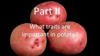 What Traits are Important in Potato
Part 2 of 3 from Get the Dirt on Potato Breeding webinar.
Original air date: May 20, 2014
Presented by Dr. Walter De Jong, Cornell University What Traits are Important in Potato