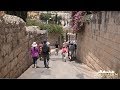 MOUNT of OLIVES JERUSALEM PILGRIMAGE VIDEO TOUR